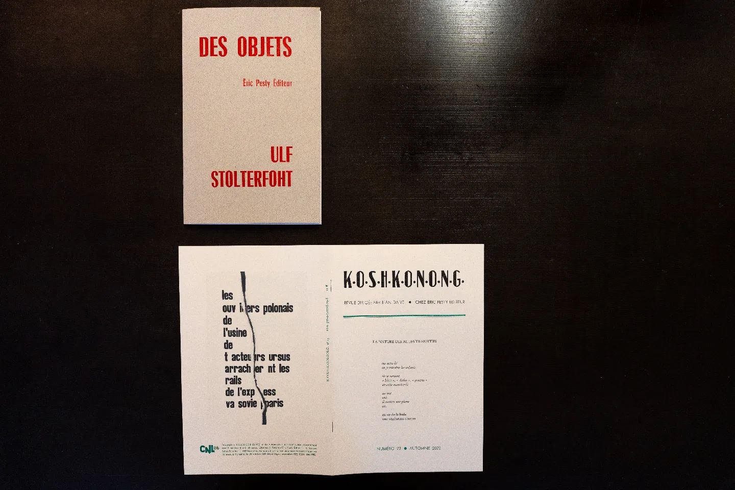 A paraître début décembre (diffusion-distribution Serendip-livres) :
https://www.ericpestyediteur.com
#typography #typographie #letters #bookstagram #books #livres #ericpestyediteur #editions #poesie #poetry #words #ofmi #machine #mots #lettres #reading